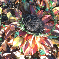 LandartAusstellungen Helena Brunner